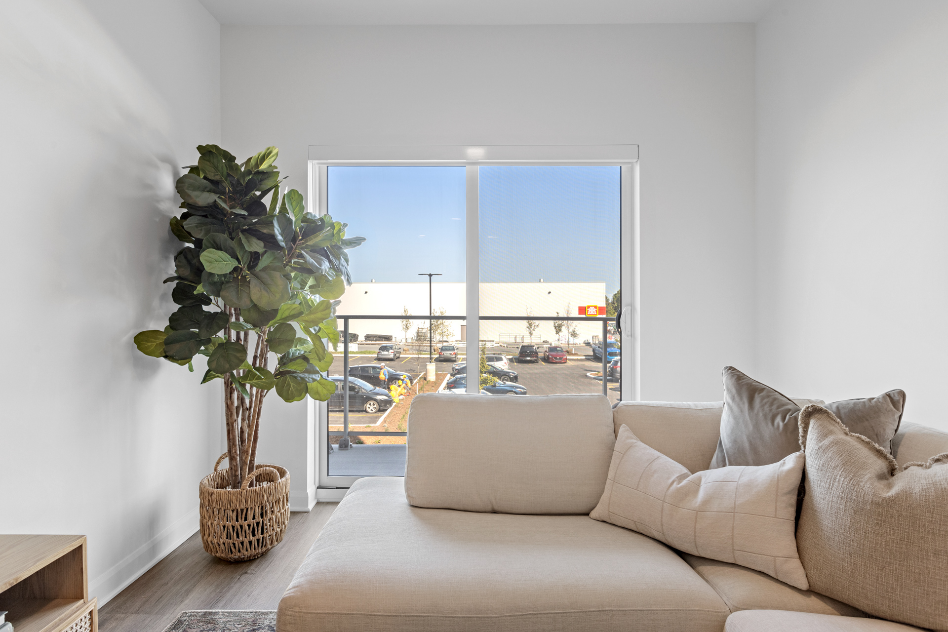 Suite interior